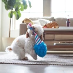 Frisco Baseball Cotton Candy Plush With Rope Squeaky Dog Toy -WoofyPlay Store 252750 PT5. AC SS1800 V1615814567