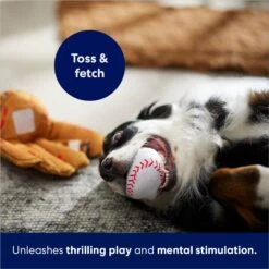 Frisco Baseball Mitt & Ball Interactive Plush Squeaky Dog Toy 10 Frisco Baseball Mitt & Ball Interactive Plush Squeaky Dog Toy -WoofyPlay Store 252756 PT5. AC SS1800 V1686579205