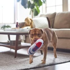 Frisco Baseball Cleat Latex Dog Toy -WoofyPlay Store 252764 PT5. AC SS1800 V1615814650