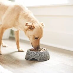 Frisco Black Marble Design Stainless Steel Dog & Cat Bowl -WoofyPlay Store 253048 PT2. AC SS1800 V1616526446