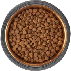 Frisco Matte Black Design Light Copper Stainless Steel Dog & Cat Bowl -WoofyPlay Store 253051 PT5. AC SS1800 V1616526794