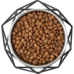 Frisco Elevated Stainless Steel Dog & Cat Bowl With Metal Stand 13 Frisco Elevated Stainless Steel Dog & Cat Bowl With Metal Stand -WoofyPlay Store 253055 PT5. AC SS1800 V1616595387