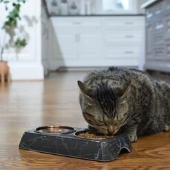 Frisco Copper Stainless Steel Double Dog & Cat Bowls With Black Marble Stand -WoofyPlay Store 253058 PT2. AC SS1800 V1616594213