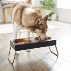 Frisco Copper Stainless Steel Elevated Foldable Double Dog & Cat Bowls -WoofyPlay Store 253060 PT2. AC SS1800 V1616594243