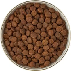 Frisco Gold Trim Melamine Dog & Cat Bowl -WoofyPlay Store 253062 PT5. AC SS1800 V1616595396