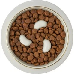 Frisco Melamine Slow Feed Dog & Cat Bowl With Gold Trim -WoofyPlay Store 253066 PT5. AC SS1800 V1616597830