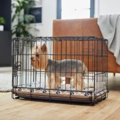 Frisco Micro Terry & Novelty Print Reversible Orthopedic Dog Crate Mat -WoofyPlay Store 255345 PT5. AC SS1800 V1616121485