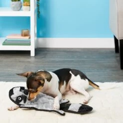 Frisco Alligator Stuffing-Free Flat Plush Squeaky Dog Toy & Frisco Raccoon Stuffing-Free Flat Plush Squeaky Dog Toy 9 Frisco Alligator Stuffing-Free Flat Plush Squeaky Dog Toy & Frisco Raccoon Stuffing-Free Flat Plush Squeaky Dog Toy -WoofyPlay Store 255471 PT4. AC SS1800 V1602691287