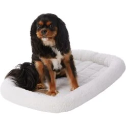 Frisco Fold & Carry Single Door Collapsible Wire Dog Crate & Frisco Quilted Dog Crate Mat 9 Frisco Fold & Carry Single Door Collapsible Wire Dog Crate & Frisco Quilted Dog Crate Mat -WoofyPlay Store 255493 PT4. AC SS1800 V1603545111