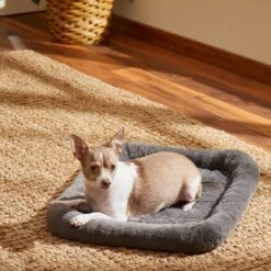 Frisco Fold & Carry Single Door Collapsible Wire Dog Crate & Frisco Quilted Plush Dog Crate Mat -WoofyPlay Store 255501 PT4. AC SS1800 V1604097719