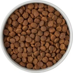 Frisco Ceramic Food Dog & Cat Bowl With Wood Base -WoofyPlay Store 256043 PT6. AC SS1800 V1615311151