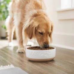 Frisco Paw Prints Non-skid Ceramic Bowl -WoofyPlay Store 256072 PT2. AC SS1800 V1615311738