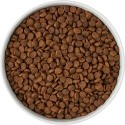 Frisco Paw Prints Non-skid Ceramic Bowl -WoofyPlay Store 256072 PT5. AC SS1800 V1615312318