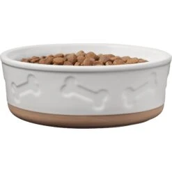 Frisco Bones Non-skid Ceramic Dog & Cat Bowl -WoofyPlay Store 256074 PT3. AC SS1800 V1615313594