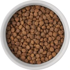 Frisco Bones Non-skid Ceramic Dog & Cat Bowl -WoofyPlay Store 256074 PT5. AC SS1800 V1615312010