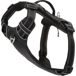 Frisco Outdoor Premium Ripstop Nylon Dog Harness With Pocket -WoofyPlay Store 256485 PT3. AC SS1800 V1625156290