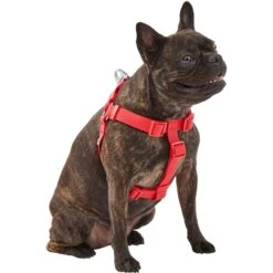 Frisco Outdoor Solid Textured Waterproof Stink Proof PVC Dog Harness -WoofyPlay Store 256518 PT2. AC SS1800 V1625164704
