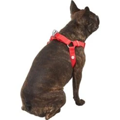 Frisco Outdoor Solid Textured Waterproof Stink Proof PVC Dog Harness -WoofyPlay Store 256518 PT3. AC SS1800 V1625164999