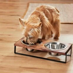 Frisco Wood Elevated Non-Skid Stainless Steel Double Diner Dog & Cat Bowl 9 Frisco Wood Elevated Non-Skid Stainless Steel Double Diner Dog & Cat Bowl -WoofyPlay Store 257143 PT3. AC SS1800 V1615987292