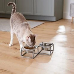 Frisco Elevated Diamond Stainless Steel Double Diner Dog & Cat Bowl -WoofyPlay Store 257147 PT5. AC SS1800 V1615989105