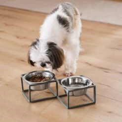 Frisco Elevated Diamond Stainless Steel Double Diner Dog & Cat Bowl -WoofyPlay Store 257147 PT8. AC SS1800 V1615840442
