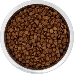 Frisco Black Iron Non-Skid Stainless Steel Dog & Cat Bowl 12 Frisco Black Iron Non-Skid Stainless Steel Dog & Cat Bowl -WoofyPlay Store 257152 PT4. AC SS1800 V1615311427