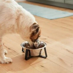 Frisco Black Iron Non-Skid Stainless Steel Dog & Cat Bowl 13 Frisco Black Iron Non-Skid Stainless Steel Dog & Cat Bowl -WoofyPlay Store 257152 PT5. AC SS1800 V1692989519