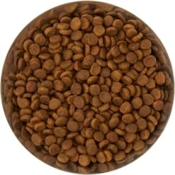 Frisco Flare Non-Skid Stainless Steel Dog & Cat Bowl -WoofyPlay Store 257162 PT4. AC SS1800 V1612366692