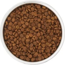 Frisco Insulated Two-Toned Non-Skid Stainless Steel Dog & Cat Bowl -WoofyPlay Store 257168 PT4. AC SS1800 V1612367255