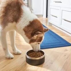 Frisco Insulated Two-Toned Non-Skid Stainless Steel Dog & Cat Bowl -WoofyPlay Store 257168 PT8. AC SS1800 V1615840126