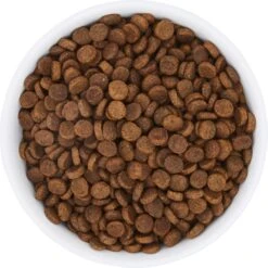 Frisco Bohemian Non-Skid Stainless Steel Dog & Cat Bowl -WoofyPlay Store 257195 PT4. AC SS1800 V1615311089