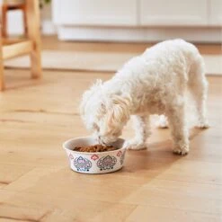 Frisco Bohemian Non-Skid Stainless Steel Dog & Cat Bowl -WoofyPlay Store 257195 PT8. AC SS1800 V1615932115