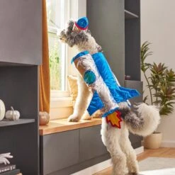 Frisco Rocket Ship Dog & Cat Costume 15 Frisco Rocket Ship Dog & Cat Costume -WoofyPlay Store 260904 PT8. AC SS1800 V1624400386