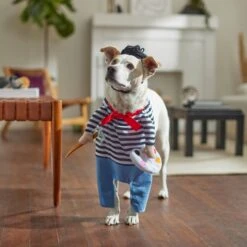 Frisco Front Walking French Artist Dog & Cat Costume -WoofyPlay Store 260956 PT8. AC SS1800 V1689623916