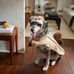 Frisco Chipmunk Dog & Cat Costume 13 Frisco Chipmunk Dog & Cat Costume -WoofyPlay Store 261049 PT8. AC SS1800 V1624338296