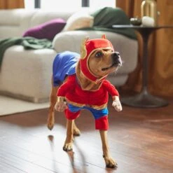 Frisco Front Walking Superhero Dog & Cat Costume 15 Frisco Front Walking Superhero Dog & Cat Costume -WoofyPlay Store 261083 PT8. AC SS1800 V1624399471