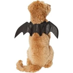 Frisco Bat Wings Dog & Cat Costume 8 Frisco Bat Wings Dog & Cat Costume -WoofyPlay Store 261113 PT2. AC SS1800 V1625077070