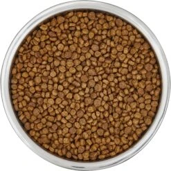 Frisco Insulated Non-Skid Flair Stainless Steel Dog & Cat Bowl -WoofyPlay Store 261753 PT4. AC SS1800 V1623937583