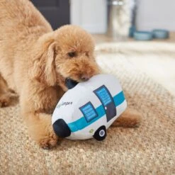 Frisco Road Trip Happy Camper Plush Squeaky Dog Toy 7 Frisco Road Trip Happy Camper Plush Squeaky Dog Toy -WoofyPlay Store 261991 PT3. AC SS1800 V1618598545