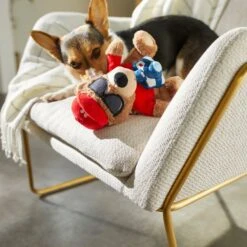 Frisco Road Trip Tourist Bear Plush Squeaky Dog Toy -WoofyPlay Store 261995 PT3. AC SS1800 V1618598730