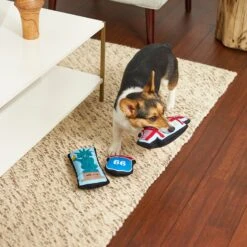 Frisco Road Trip Sightseeing Plush Squeaky Dog Toy, 3 Count -WoofyPlay Store 262001 PT3. AC SS1800 V1618598716