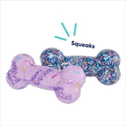 Frisco Birthday TPR Fetch Bone Squeaky Dog Toy -WoofyPlay Store 264422 PT2. AC SS1800 V1695760990