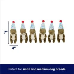 Frisco Birthday Volcano & Dinosaurs Hide & Seek Puzzle Plush Squeaky Dog Toy -WoofyPlay Store 264424 PT2. AC SS1800 V1695761147