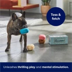 Frisco Macaron Interactive Plush Squeaky Dog Toy -WoofyPlay Store 264438 PT5. AC SS1800 V1686579089