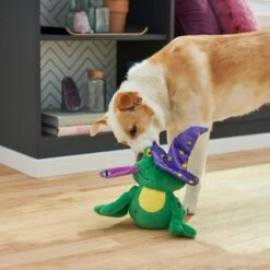 Frisco Magic Wizard Frog Plush Squeaky Dog Toy -WoofyPlay Store 265588 PT3. AC SS1800 V1620939075