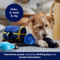 Frisco Magic Chest Hide & Seek Puzzle Plush Squeaky Dog Toy -WoofyPlay Store 265614 PT5. AC SS1800 V1695760957