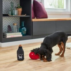 Frisco Magic Potions Plush Squeaky Dog Toy -WoofyPlay Store 265618 PT3. AC SS1800 V1620939183