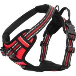 Frisco Padded Reflective Harness 10 Frisco Padded Reflective Harness -WoofyPlay Store 266770 PT4. AC SS1800 V1624548897