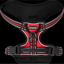 Frisco Padded Reflective Harness 11 Frisco Padded Reflective Harness -WoofyPlay Store 266770 PT5. AC SS1800 V1626798373