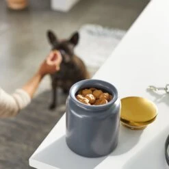 Frisco Modern Gold Rim Ceramic Treat Jar -WoofyPlay Store 270190 PT2. AC SS1800 V1620762371